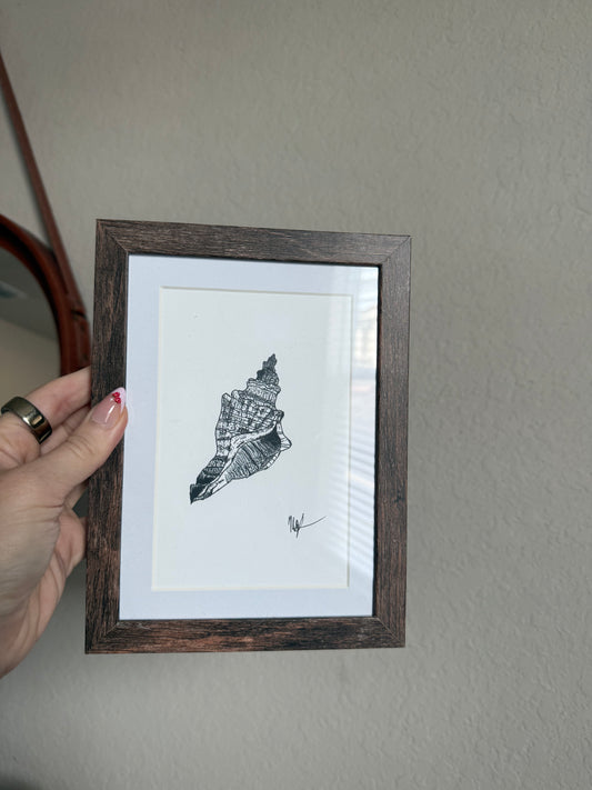 Seashell Print π