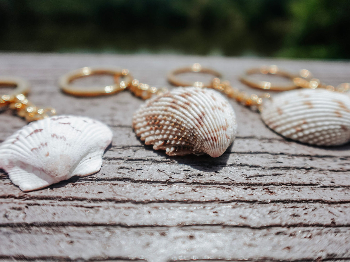 Florida Shell Keychain