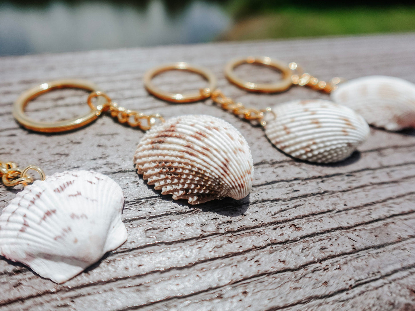 Florida Shell Keychain