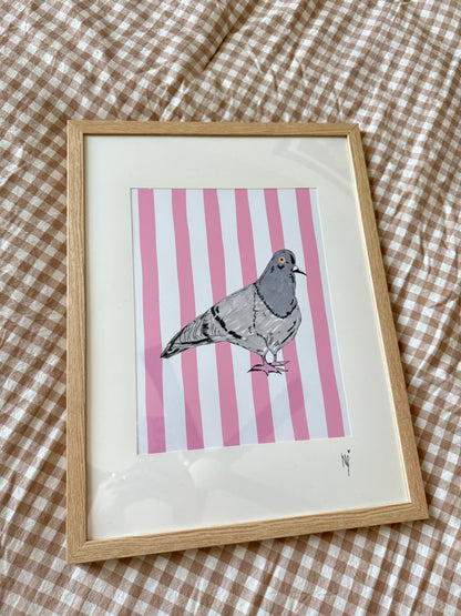 Large Framed Pigeon Print