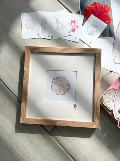 Framed Sand Dollar Print ✨