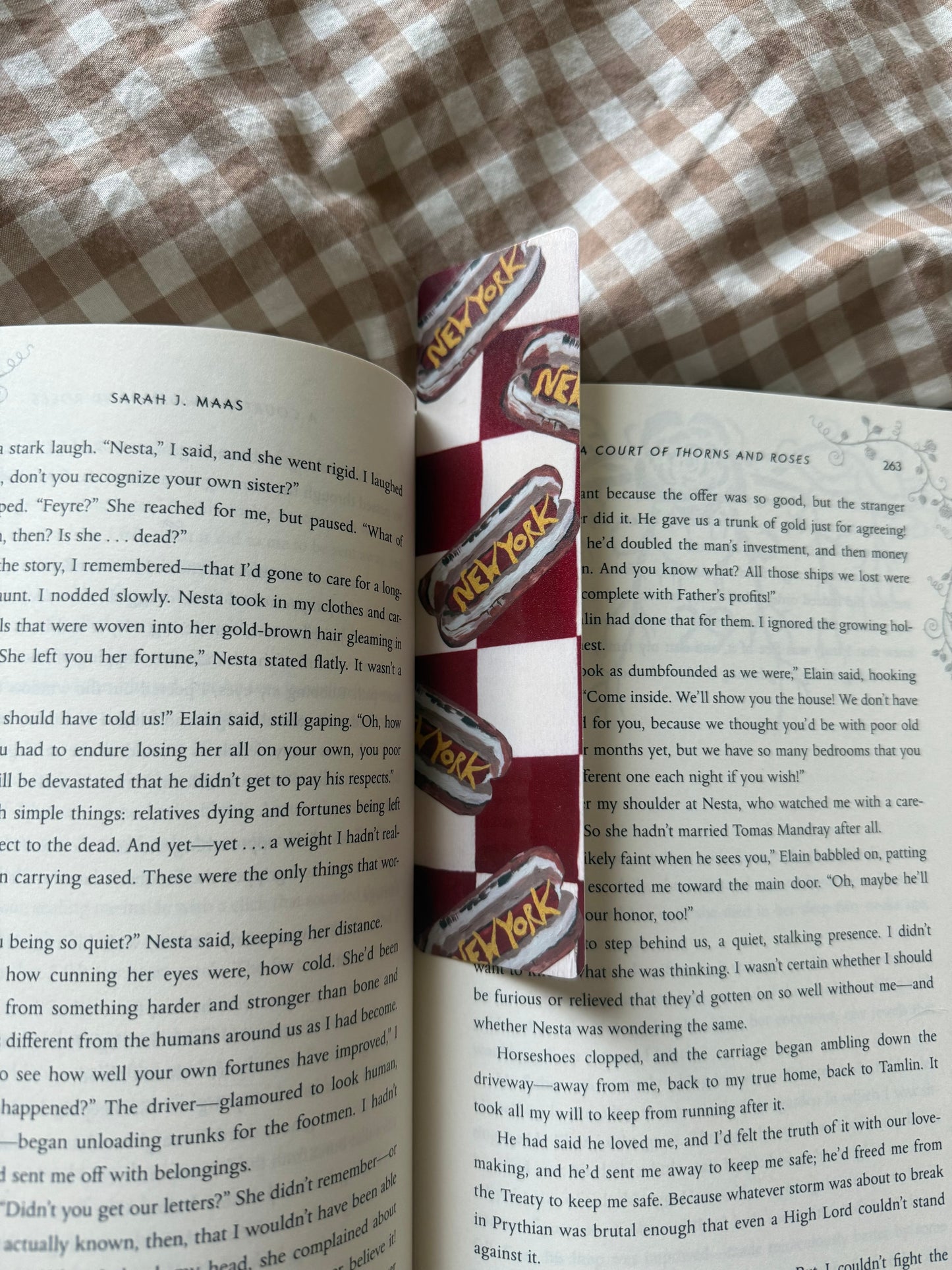 Hot Dog Bookmark 🌭