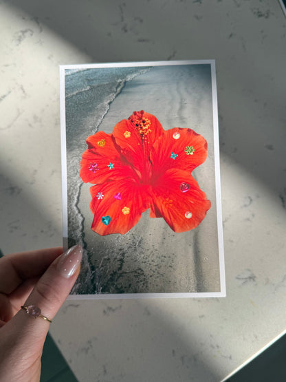 Hibiscus Photograph Print 🌺