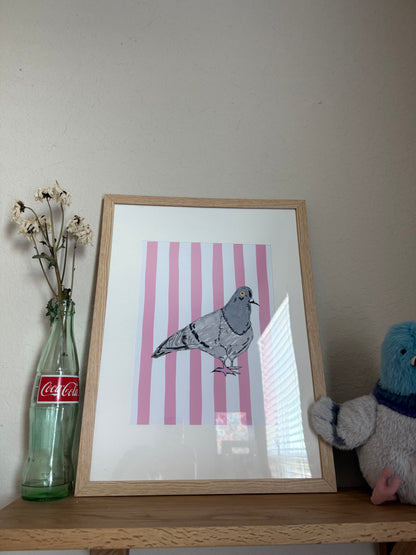 Large Framed Pigeon Print