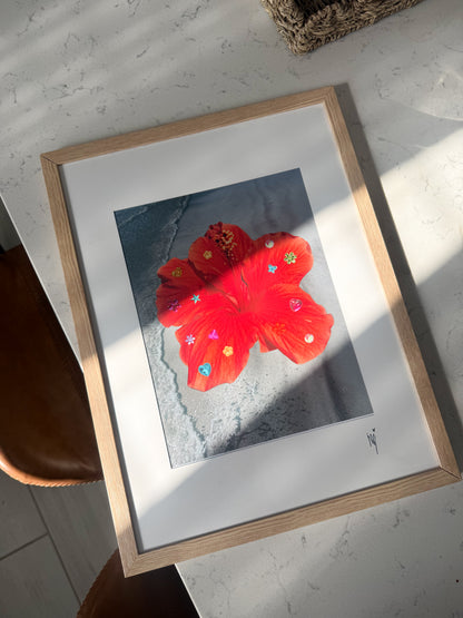 Hibiscus Photograph Large Framed Print 🌺
