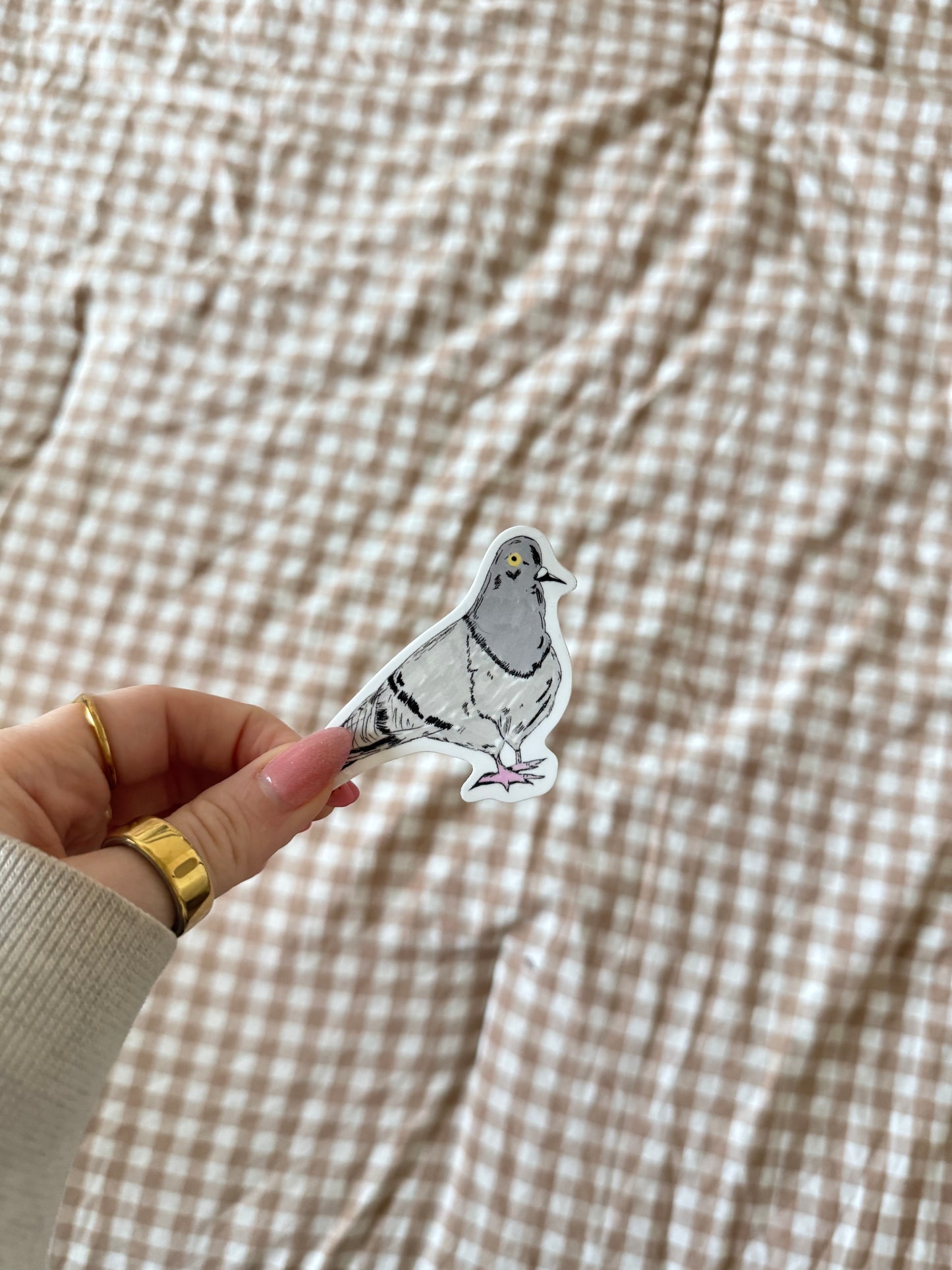 Pigeon Sticker ✨