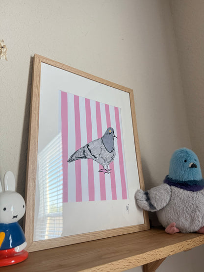 Large Framed Pigeon Print