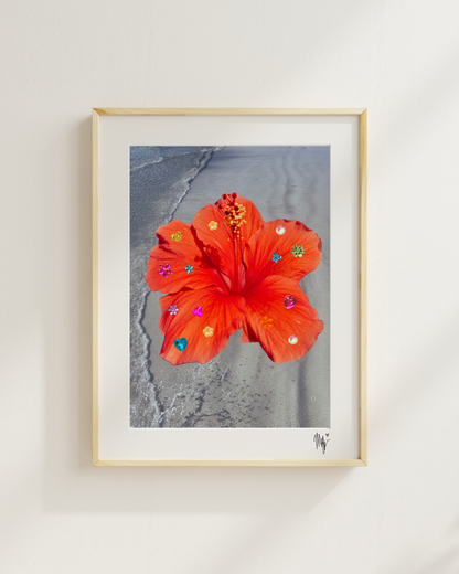 Hibiscus Photograph Print 🌺
