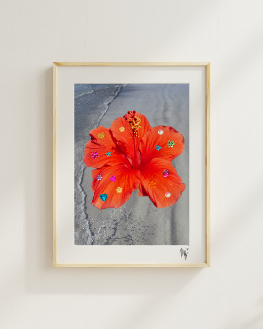 Hibiscus Photograph Print 🌺