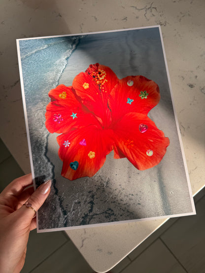 Hibiscus Photograph Print 🌺