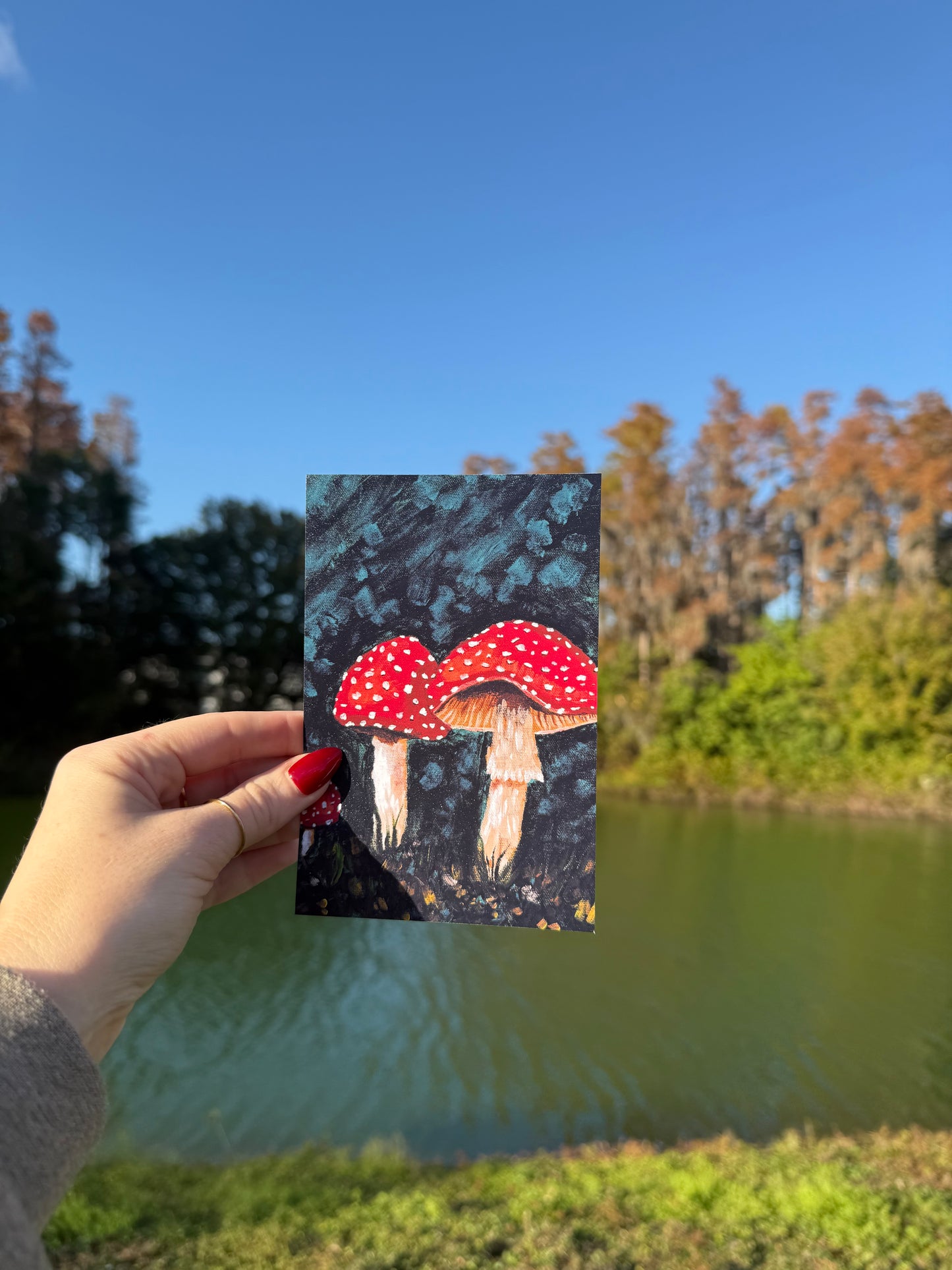 Mushroom Print 🍄