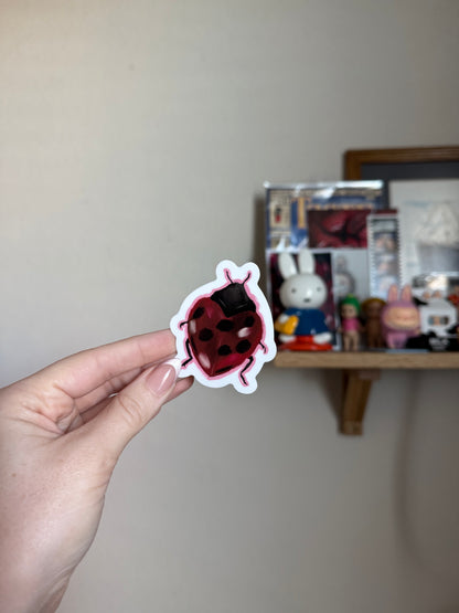 Lady Bug Sticker 🐞