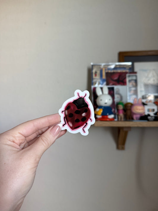 Lady Bug Sticker 🐞
