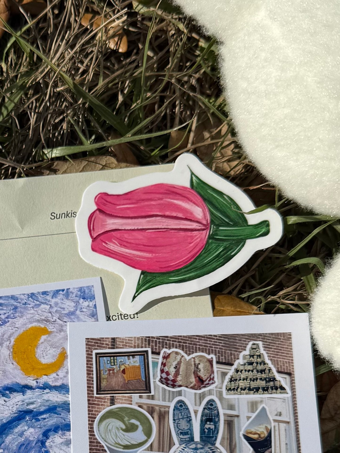 Tulip Sticker 🌷