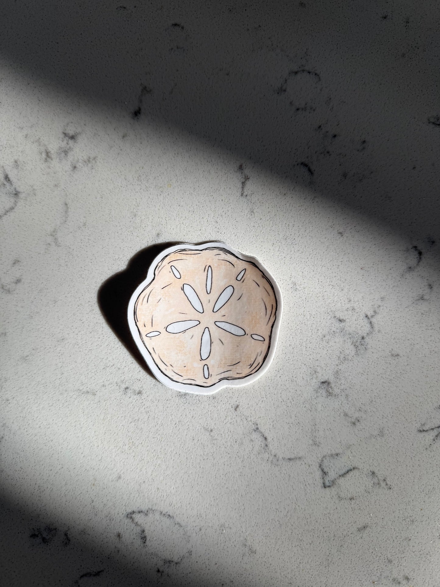 Sand Dollar Sticker