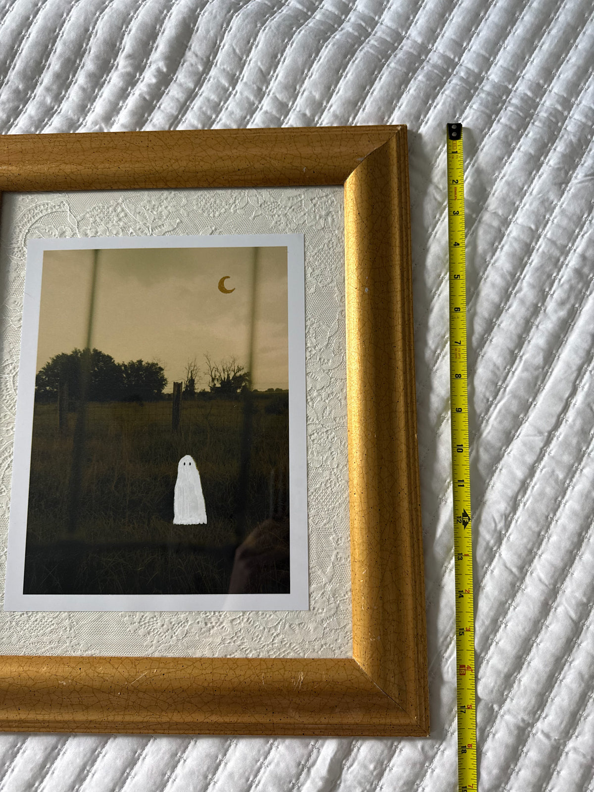 Thrifted Large Gold Framed Ghost Print