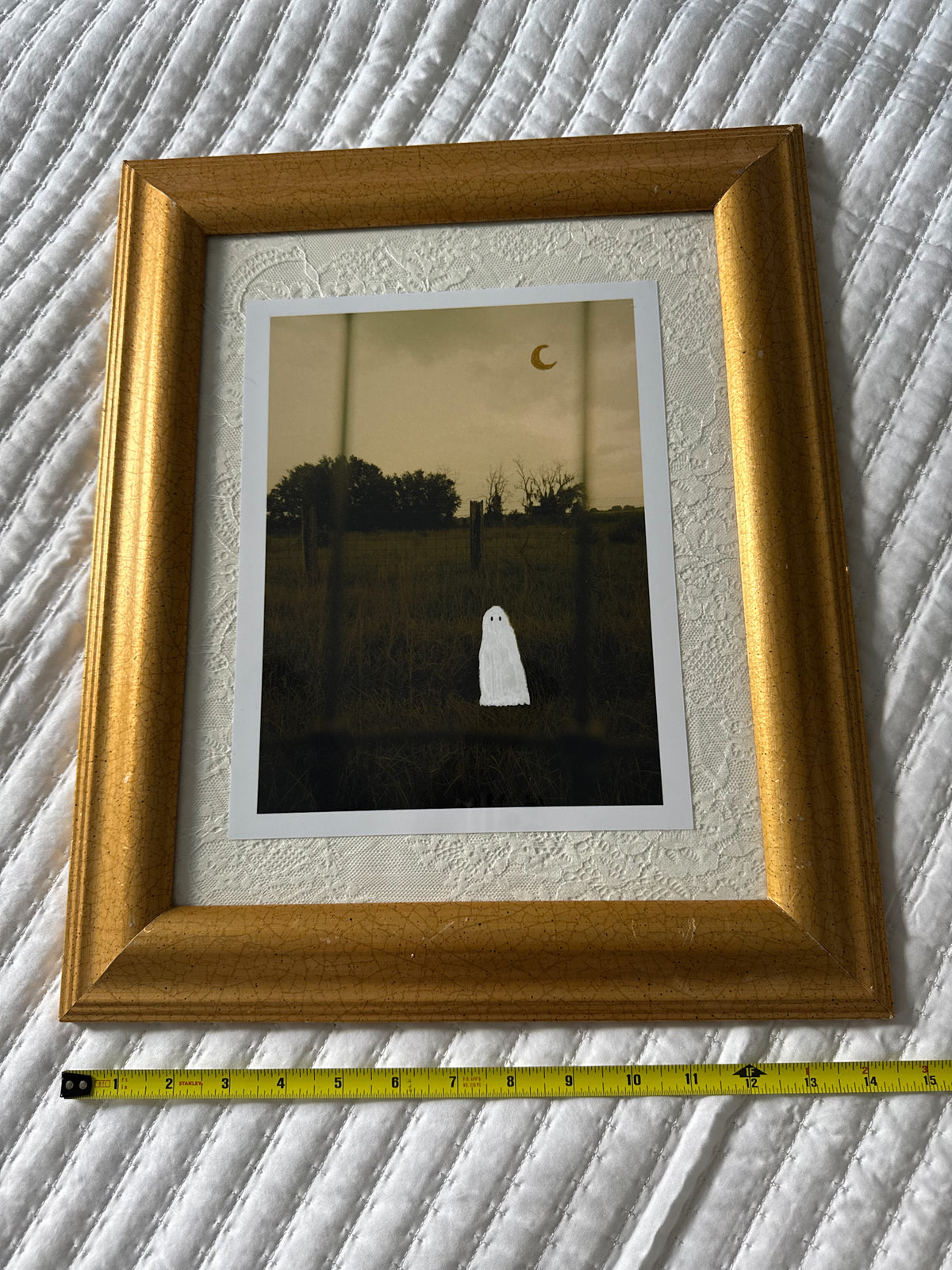 Thrifted Large Gold Framed Ghost Print