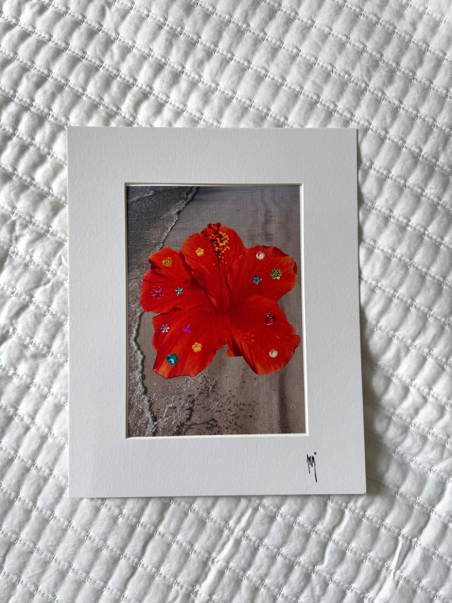Hibiscus Photograph Print 🌺