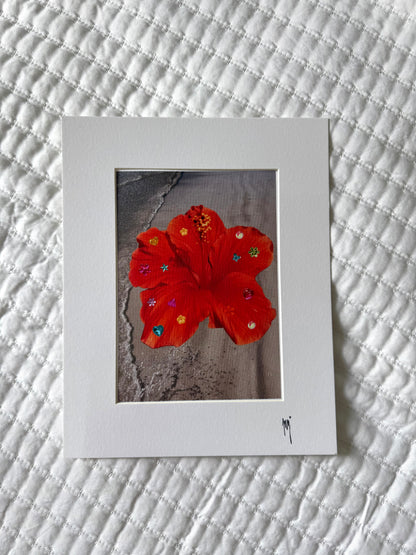 Hibiscus Photograph Print 🌺
